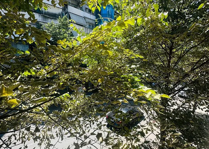 Sunlight & Comfort Flat 4 Pax * טיראנה